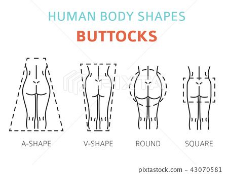 5 Different Types of Butt Shapes .